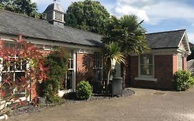 The Lodge At The Cedars